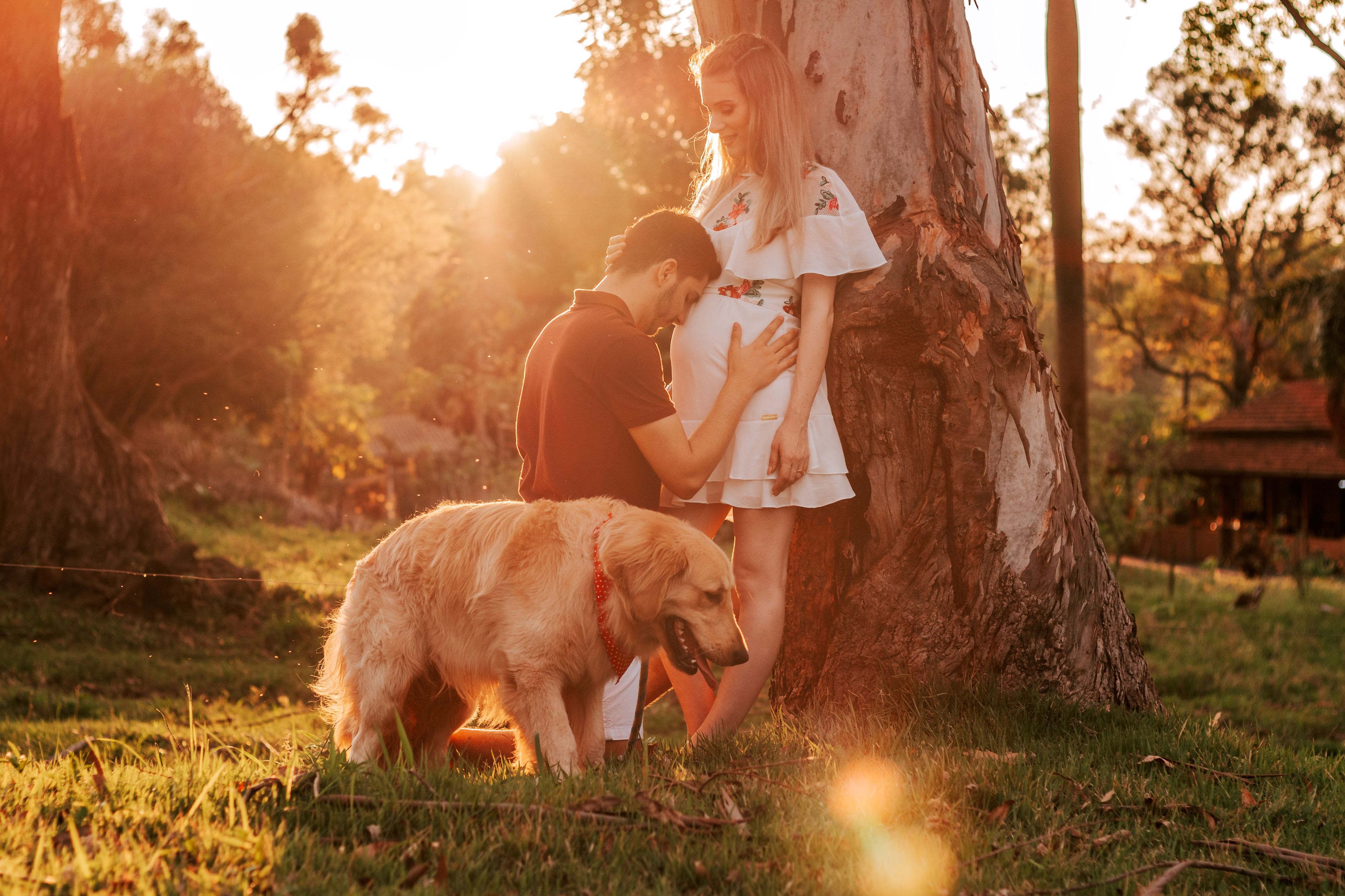 child-couple-dog-2602492